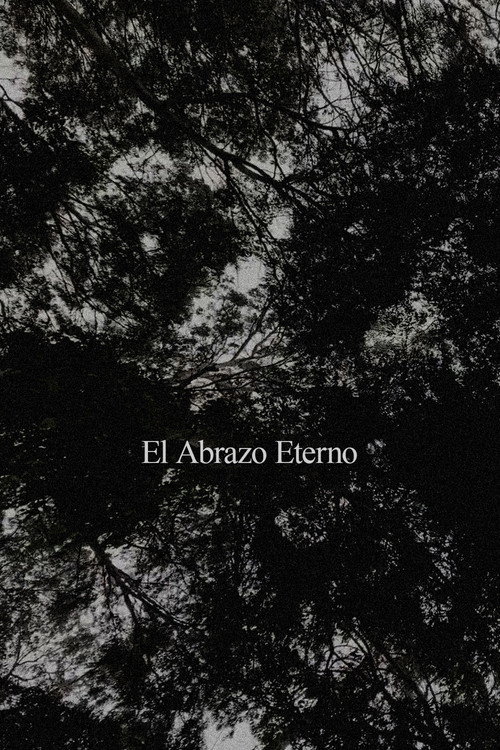 El Abrazo Eterno poster