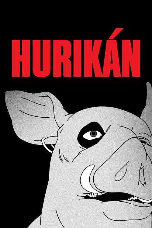 Huricane poster