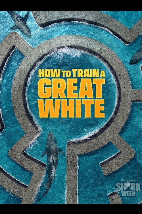How to Train a Great White poster