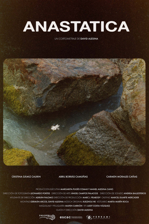 Anastatica poster