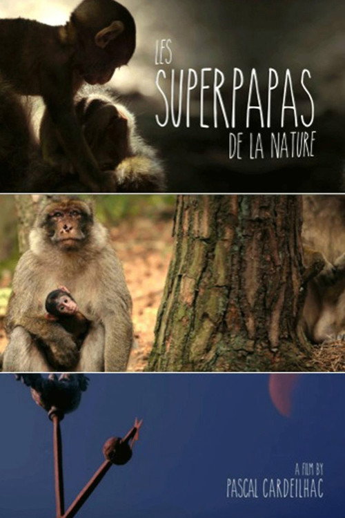 Nature's Superdads poster