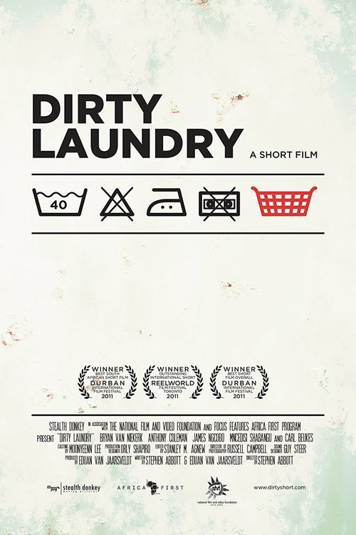 Dirty Laundry poster