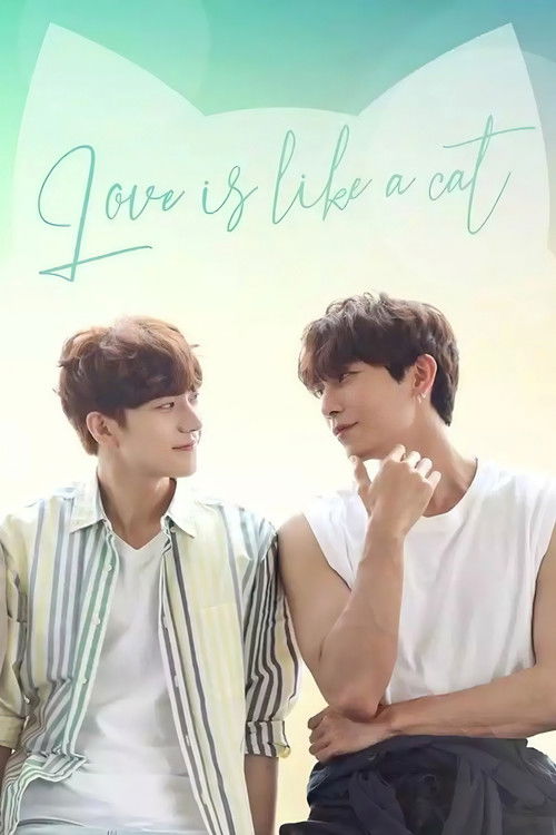 Love Is Like A Cat poster