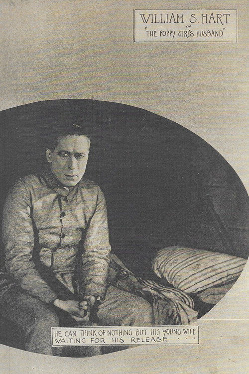 The Poppy Girl's Husband poster