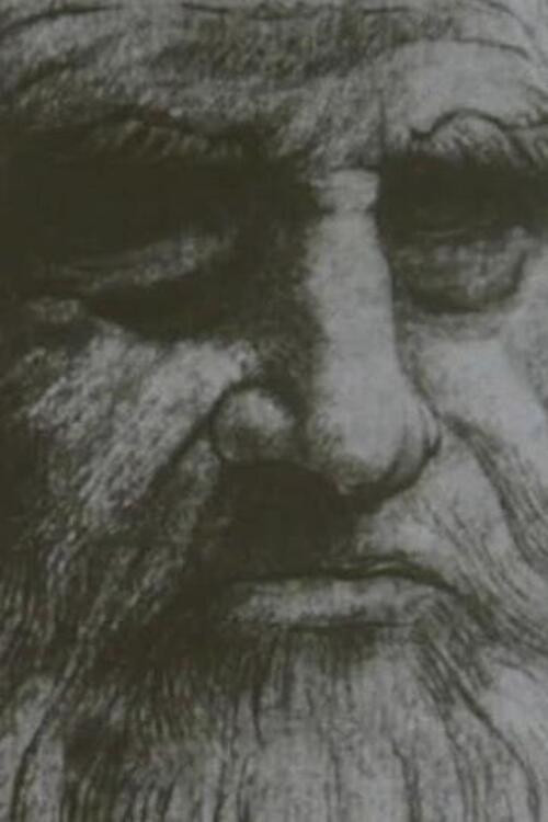 Leonardo Da Vinci The Tragic Pursuit of Perfection poster