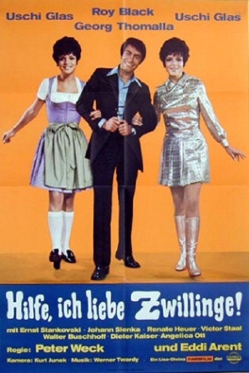 Hilfe, ich liebe Zwillinge! poster