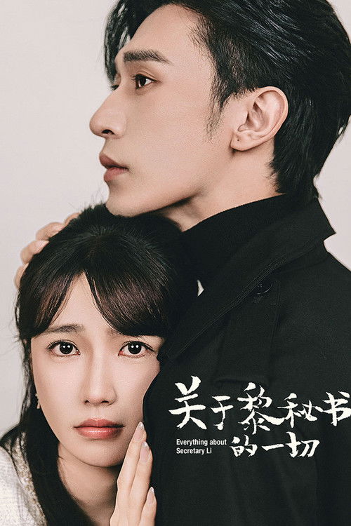 Everything About Secretary Li poster