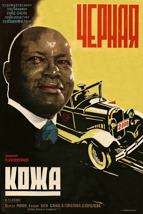 Black Skin poster