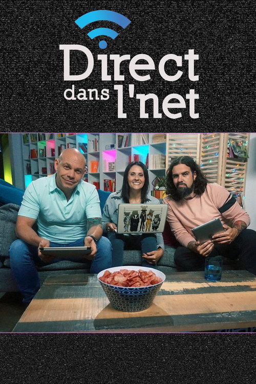 Direct dans l'net poster