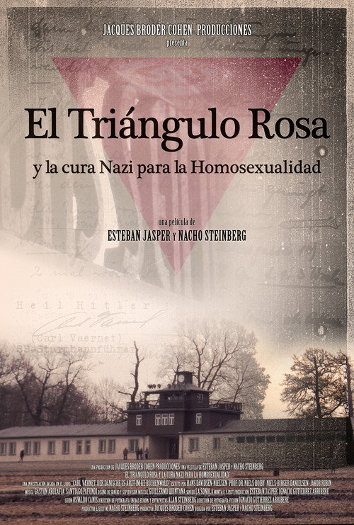 The Pink Triangle and the Nazi Cure for Homosexuality poster