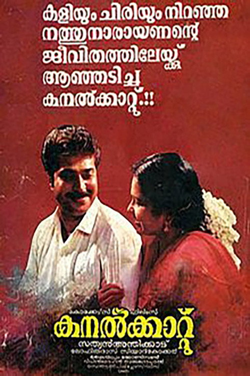 Kanalkkattu poster