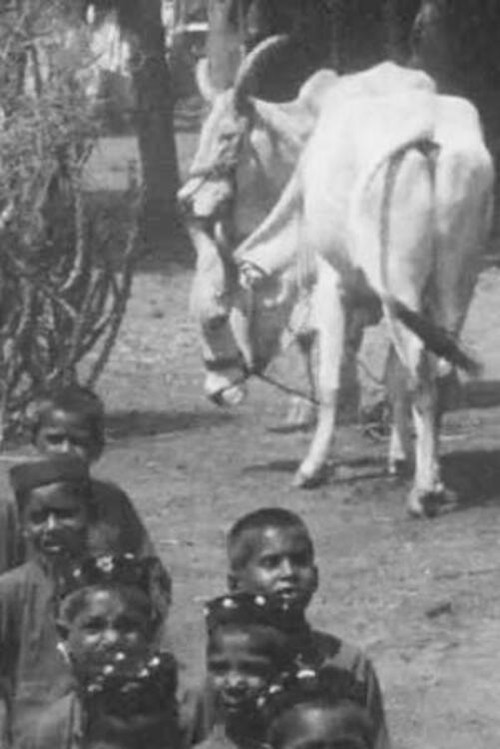 Salvation Army Parade in Indian Village - No.1 poster