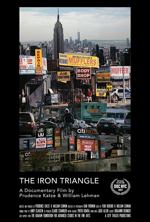 The Iron Triangle: Willets Point and the Remaking of New York poster