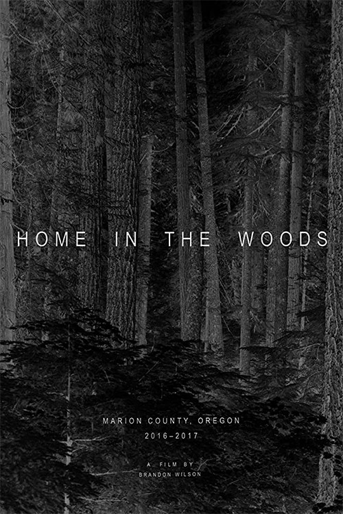 Home in the Woods poster