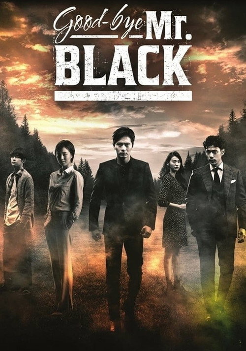 Goodbye Mr. Black poster