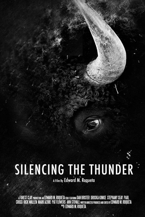 Silencing the Thunder poster