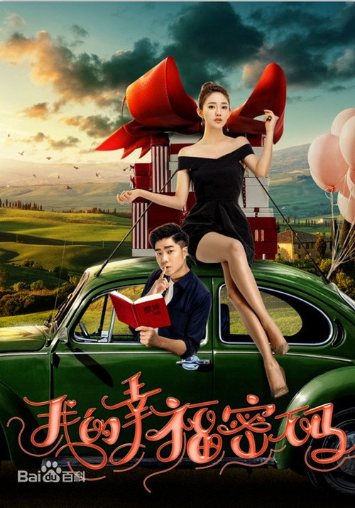 我的幸福密码 poster