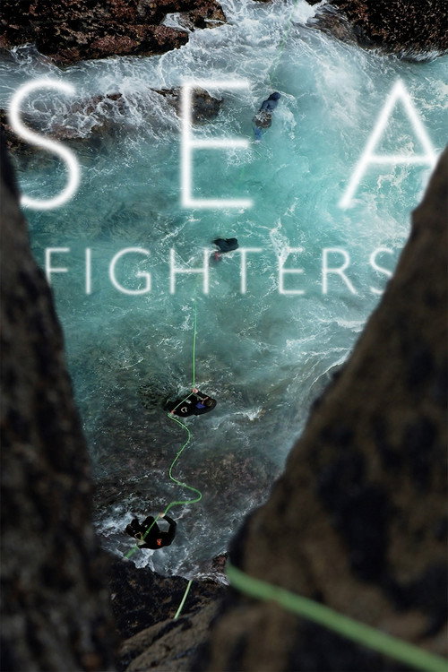 Seafighters poster