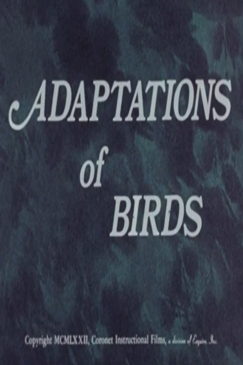 Adaptations of Birds poster