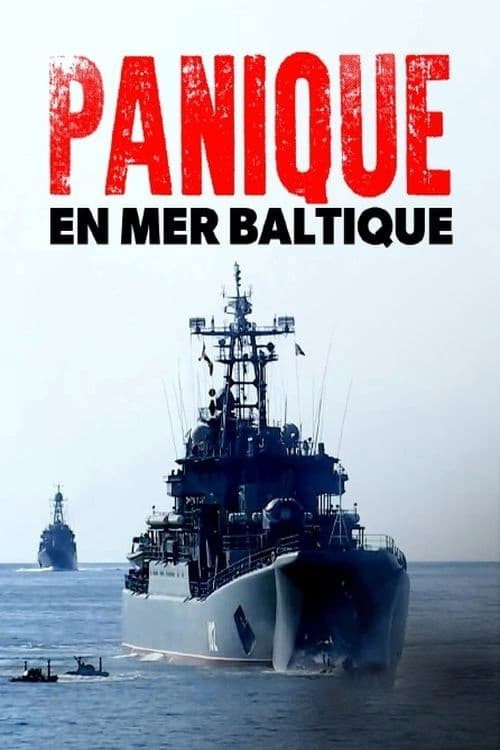 Panic in the baltic poster
