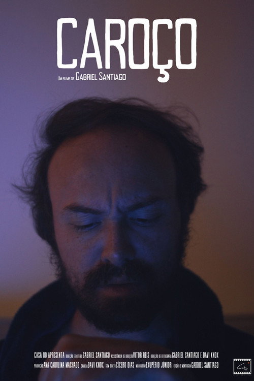 The lump poster