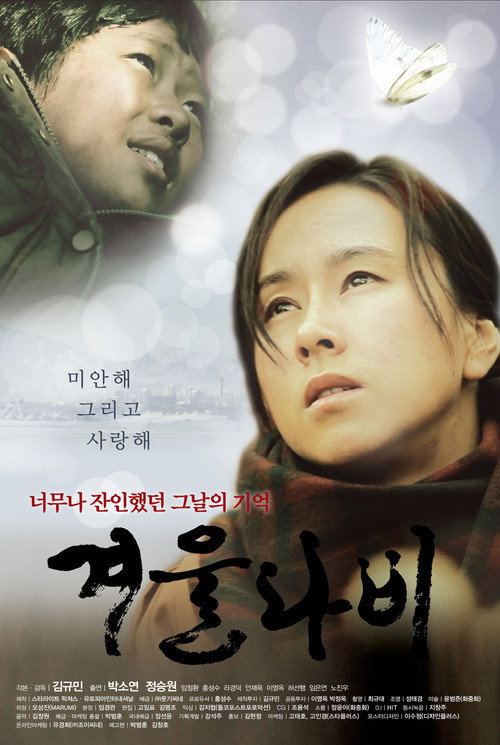 Winter Butterfly poster
