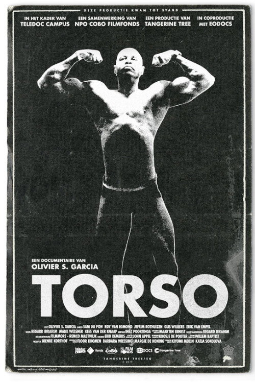 Torso poster