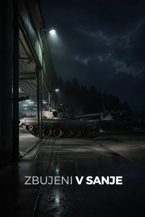 Zbujeni v sanje poster
