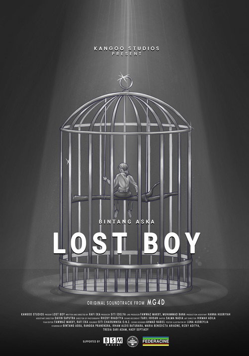 Lost Boy poster
