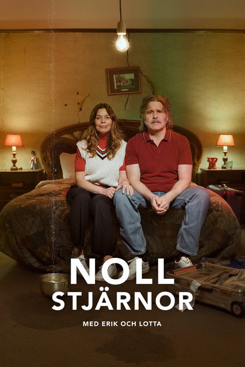 Zero Stars Sweden poster