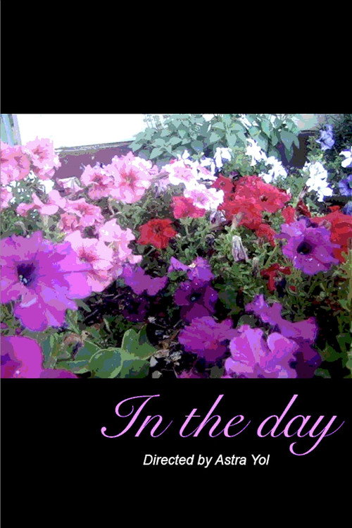 In the day poster