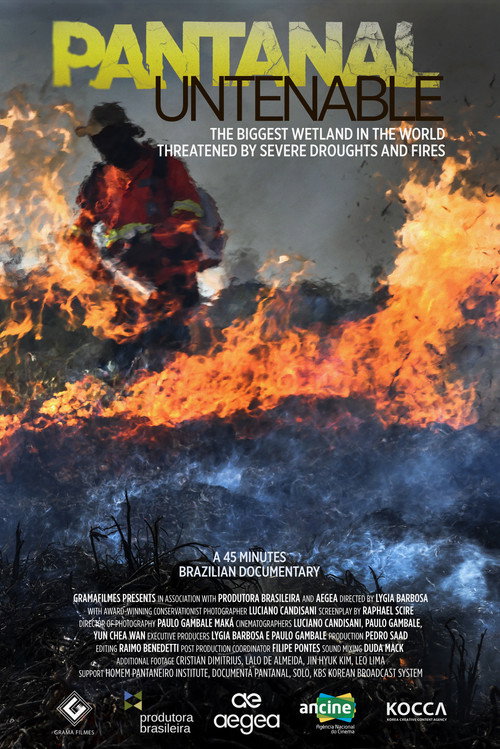 Untenable Pantanal poster