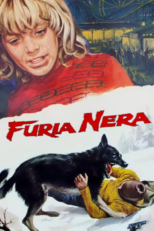 Black Fury poster