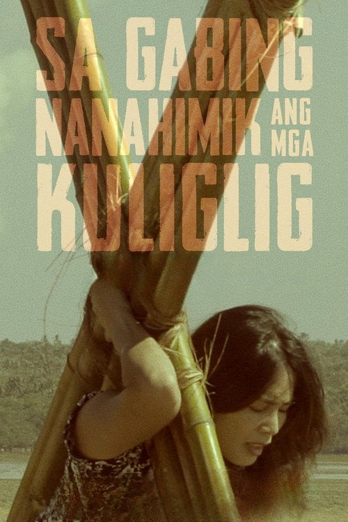 Sa Gabing Nanahimik Ang Mga Kuliglig poster
