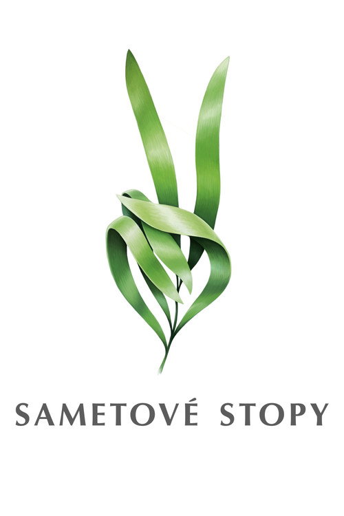 Sametové stopy poster