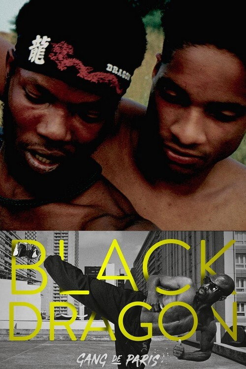Gang de Paris : Black Dragon poster