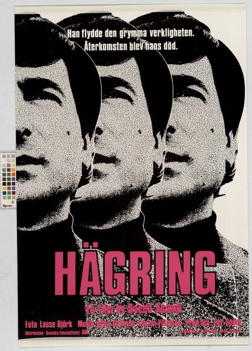 Hägring poster