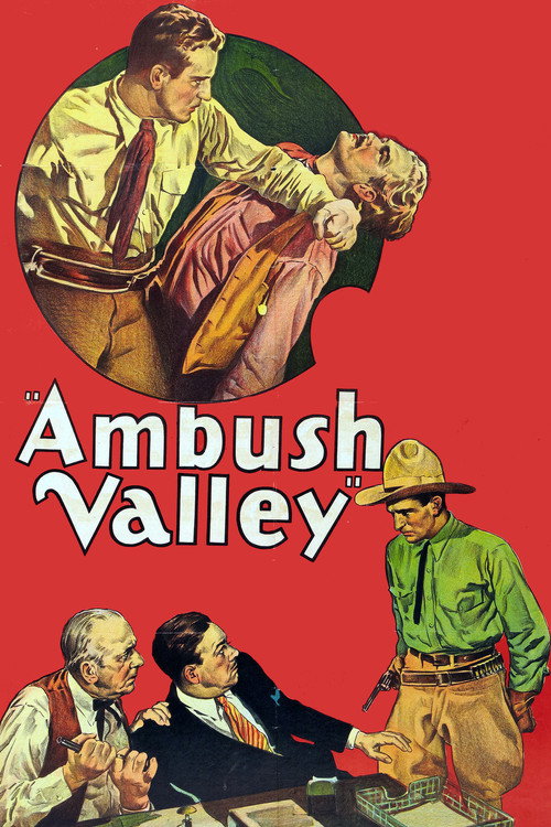 Ambush Valley poster