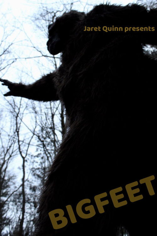 BIGFEET poster