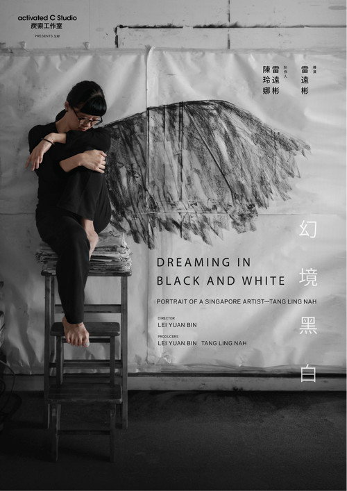 Dreaming in Black and White poster