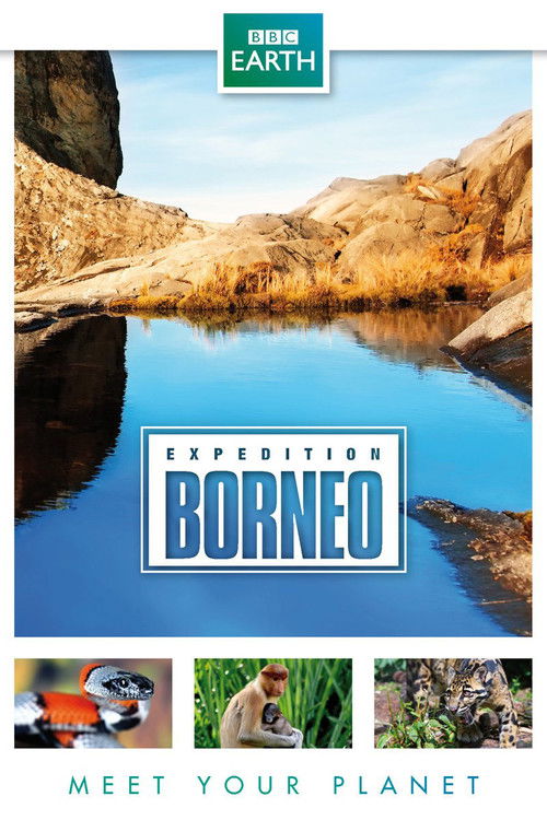 Expedition Borneo poster