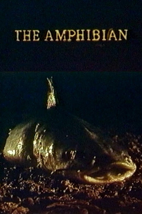 The Amphibian poster