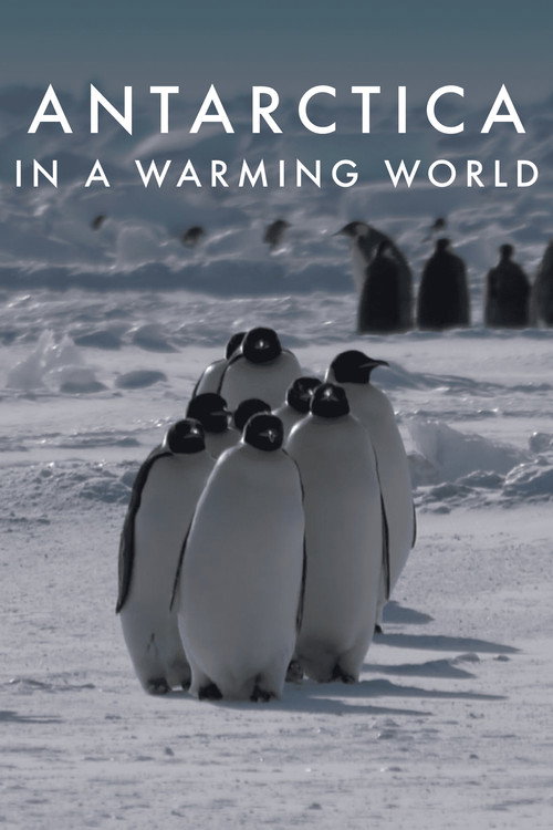 Antarctica in a Warming World poster