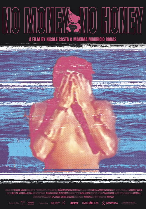 No Money No Honey poster