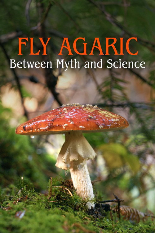 The Fly Agaric poster