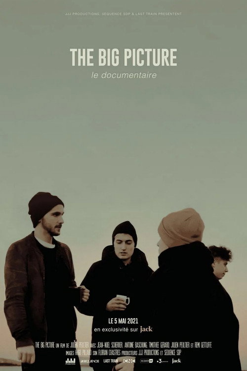 The Big Picture : Le documentaire poster