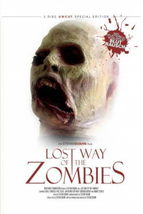 The Lost Way of the Zombies poster