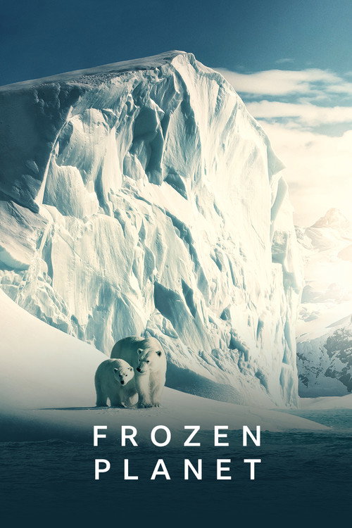 Frozen Planet poster