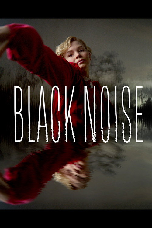 Black Noise poster