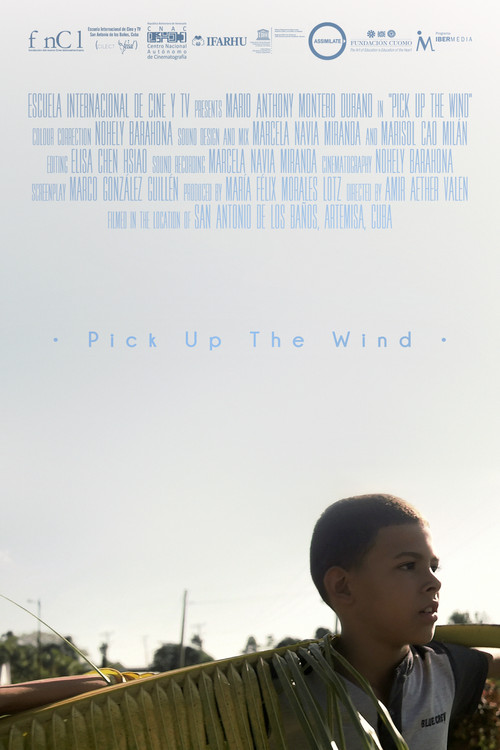 Pick up the Wind poster